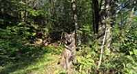 beryl_lake_fripon_observe