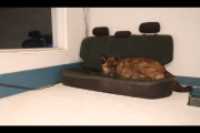 beryl_mezanine_couch