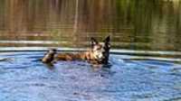 beryl_nage_etang_side