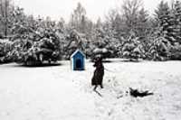 beryl_neige_hiver_cour_assis