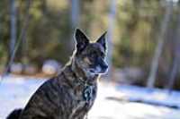 beryl_neige_portrait_85mm