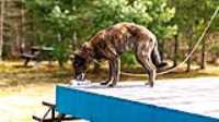 beryl_patio_boit_eau