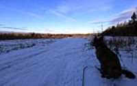 beryl_promenade_xmas2020_1