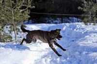 beryl_snow_jump