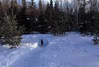 beryl_snow_trench_backyard