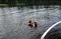 beryl_swiming_lac_st-francois_2015