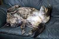 beryl_upside_down