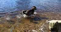 charlevoix_beryl_fishing