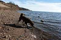 charlevoix_beryl_meet_water