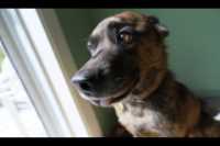 close_up_ultra_wide_angle_beryl