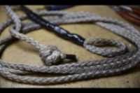 dog_mushing_leash