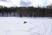 etang_geler_grand_angle_neige_beryl