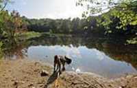 gouter_lac-fripon