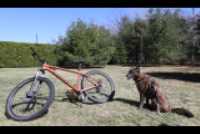 mtb_beryl
