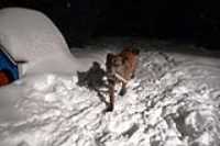 neige_beryl_baton