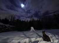 night_photo_beryl_2