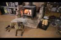 rustique_foyer_chien