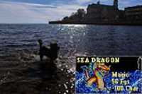 sea_dragon