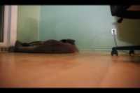 sleeping_hidden_Beryl
