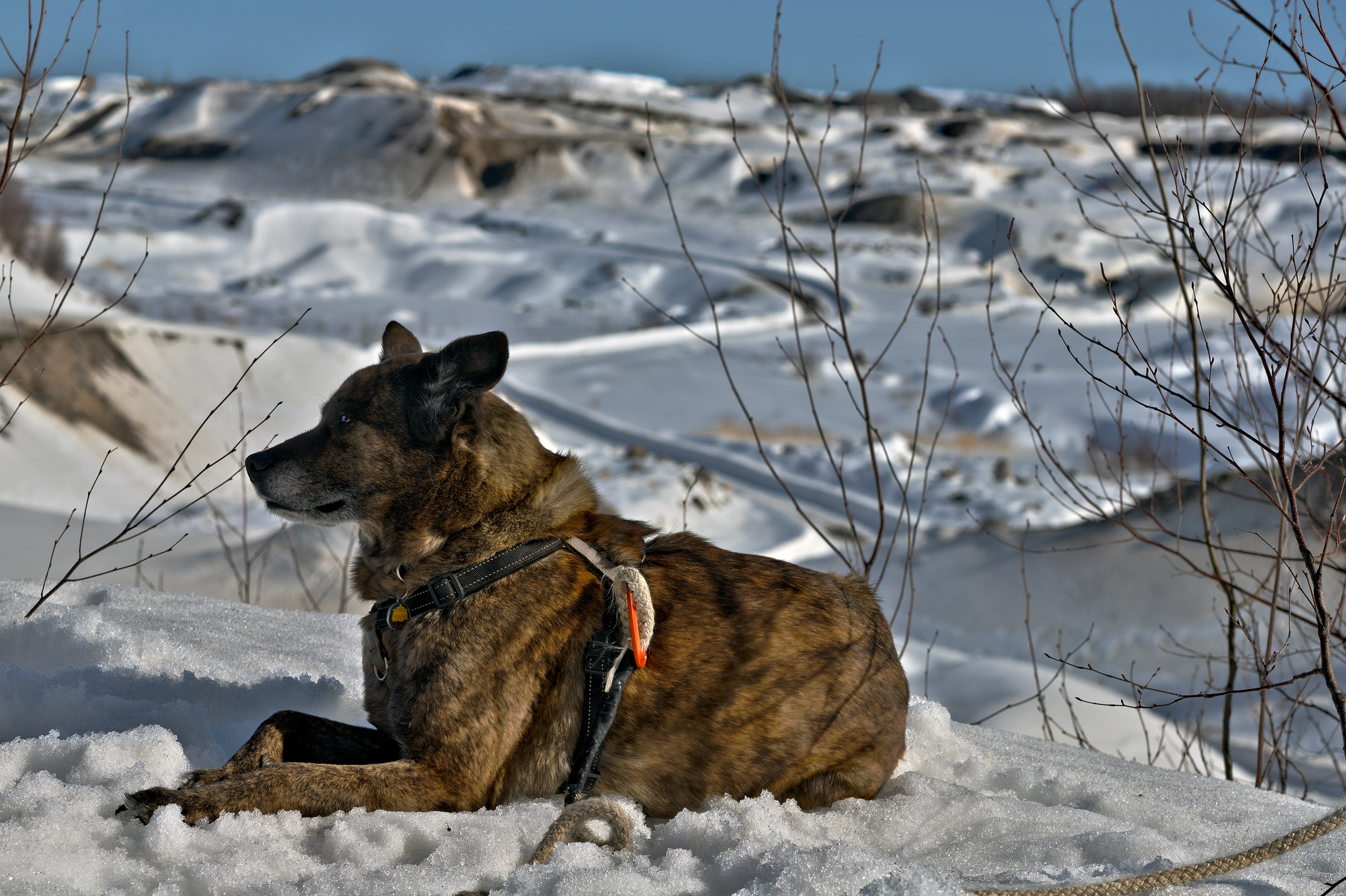 bery_hdr_85_shallow_dof_sabliere