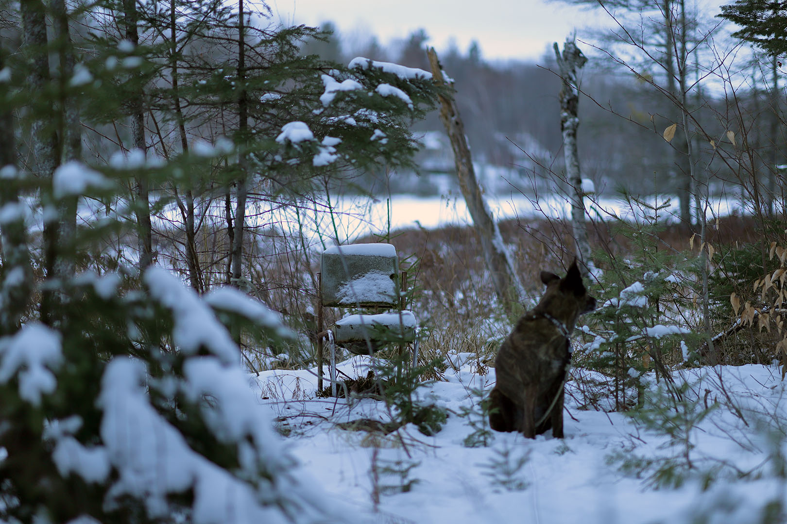 bery_lake_chair_wilderness
