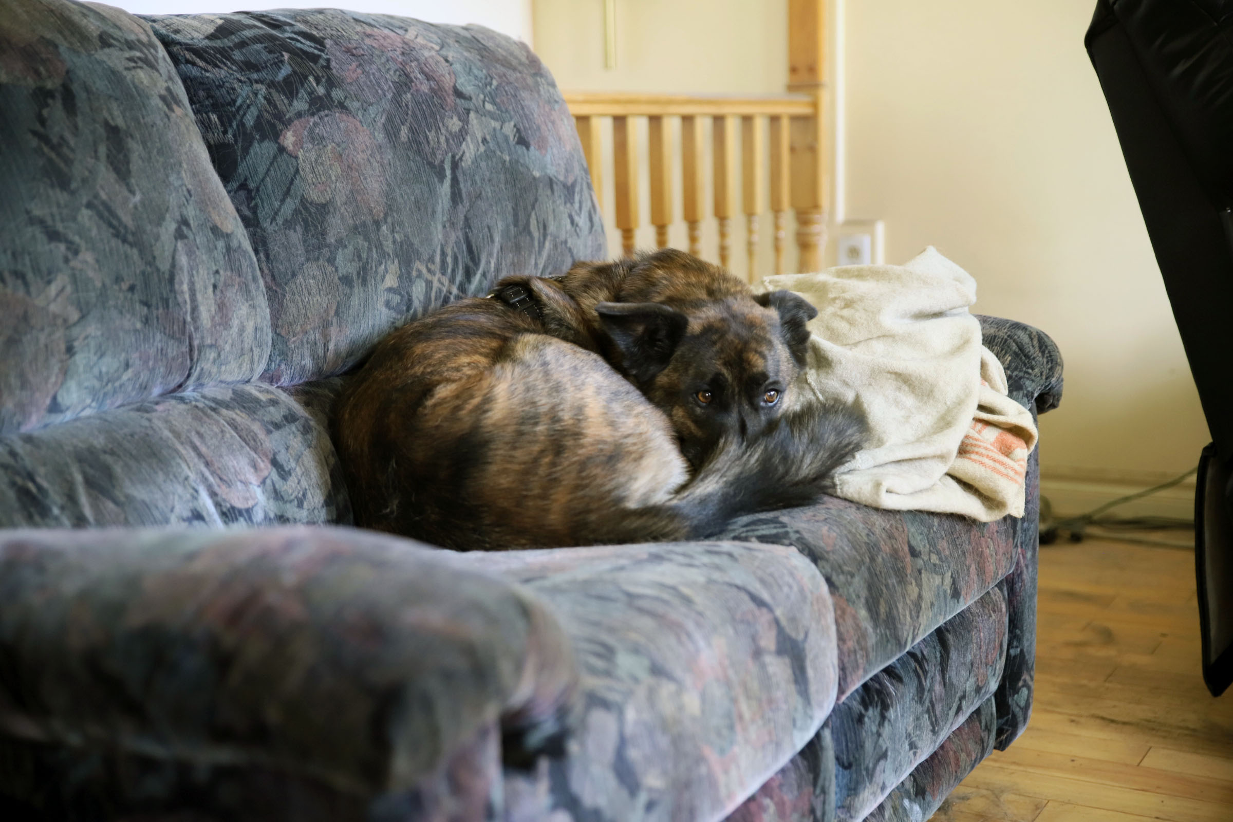 beryl_couch_salon