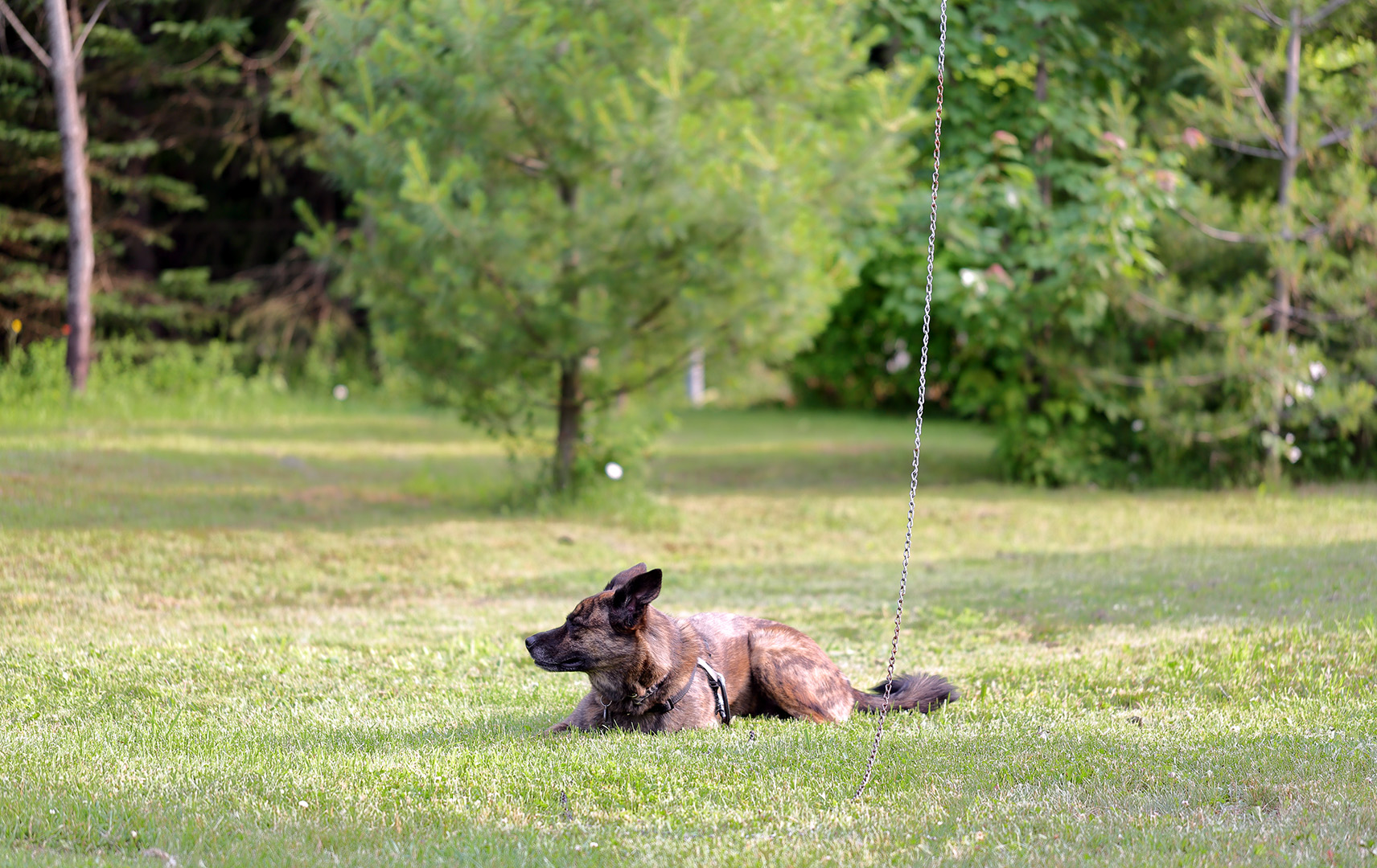 beryl_cours_1_ef200lis2.8