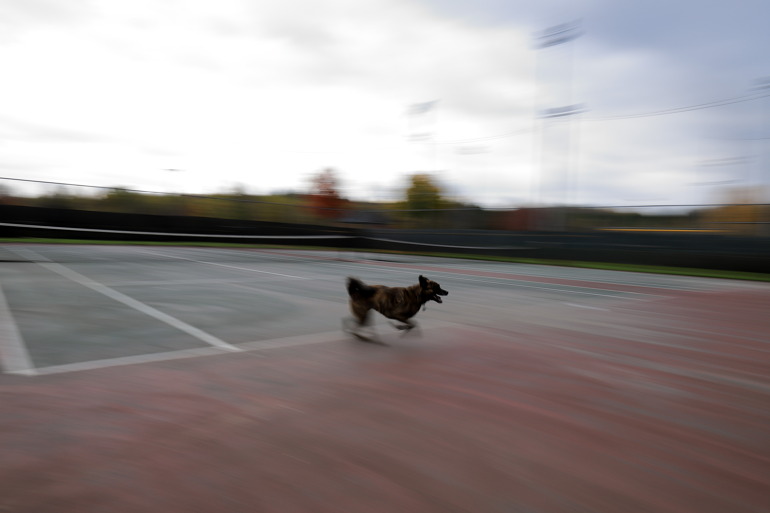 beryl_course_tennis
