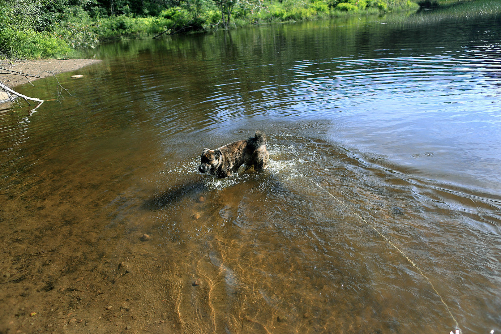 beryl_day_2_baignade