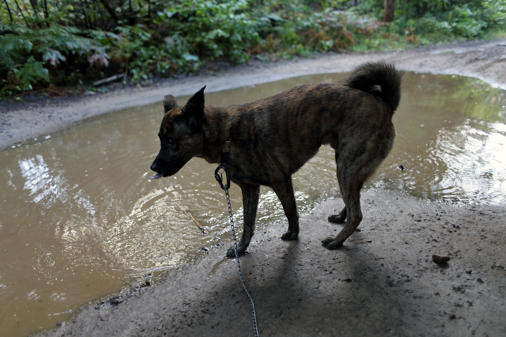 beryl_etang_surveille_vtt