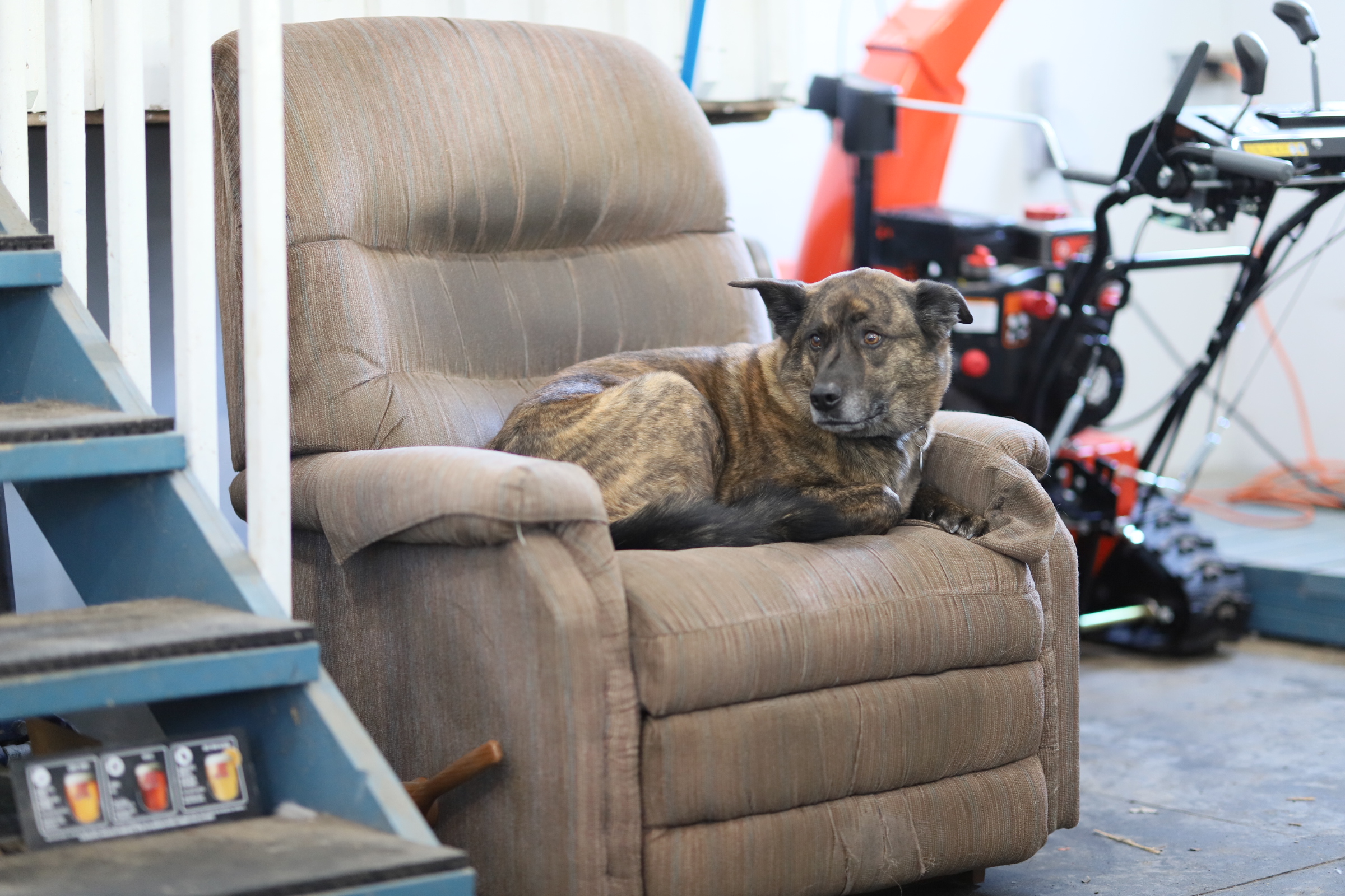 beryl_garage_couch