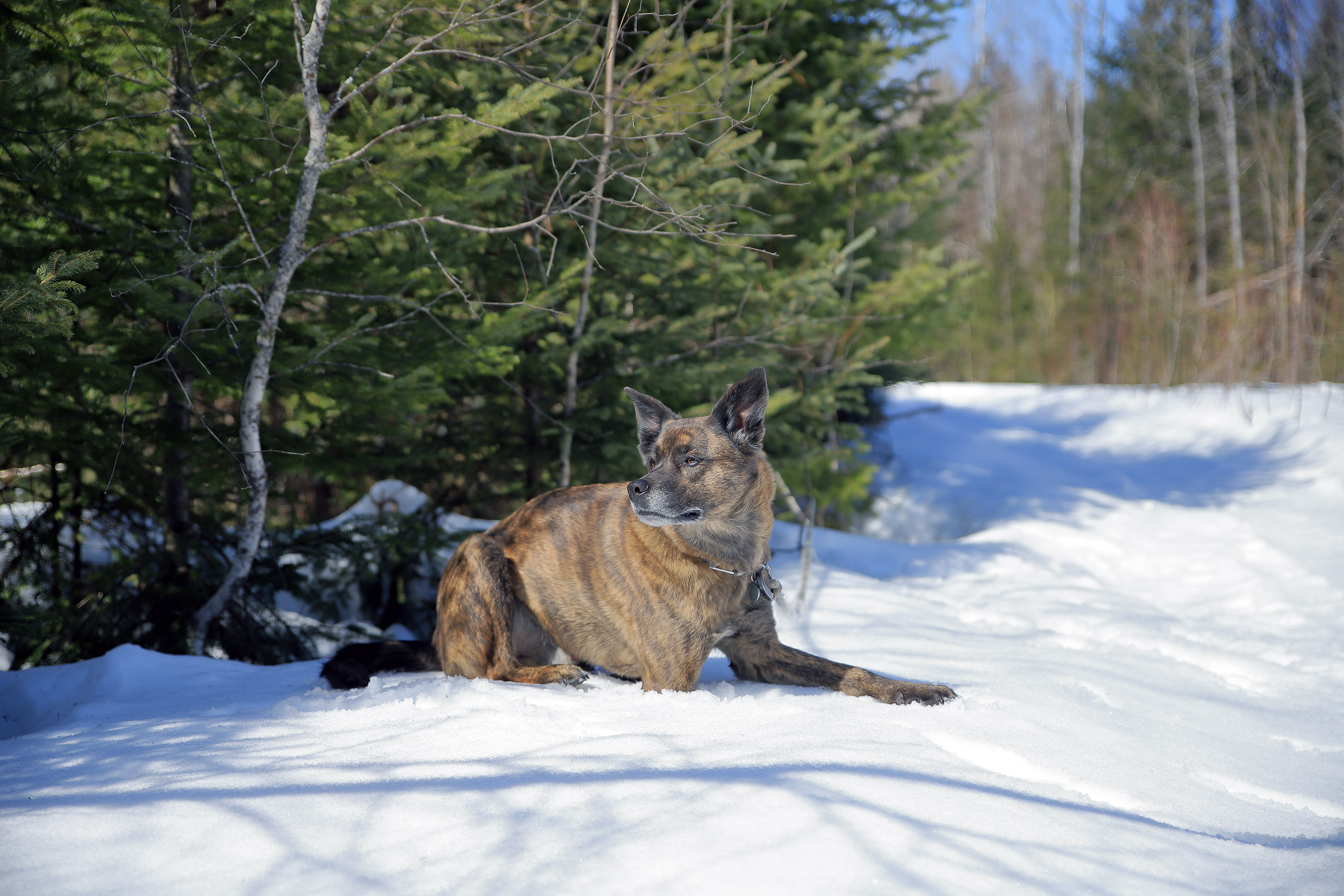 beryl_gps_spot_camping