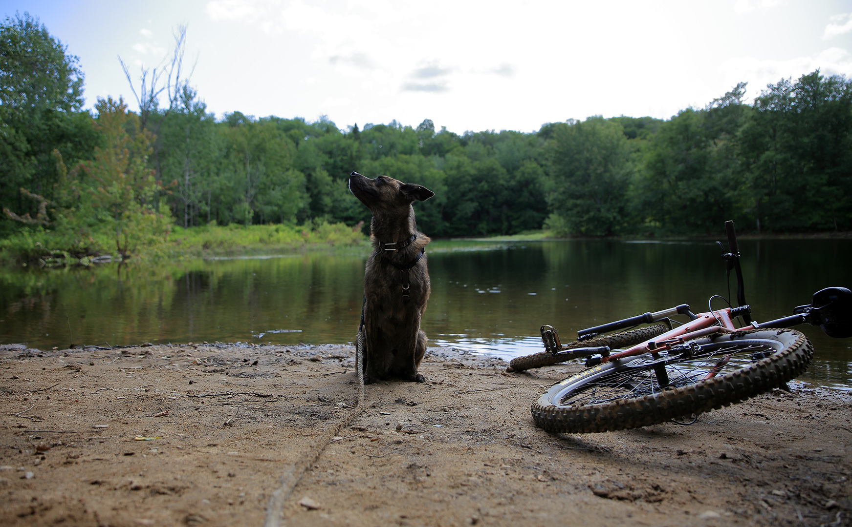 beryl_kona_etang