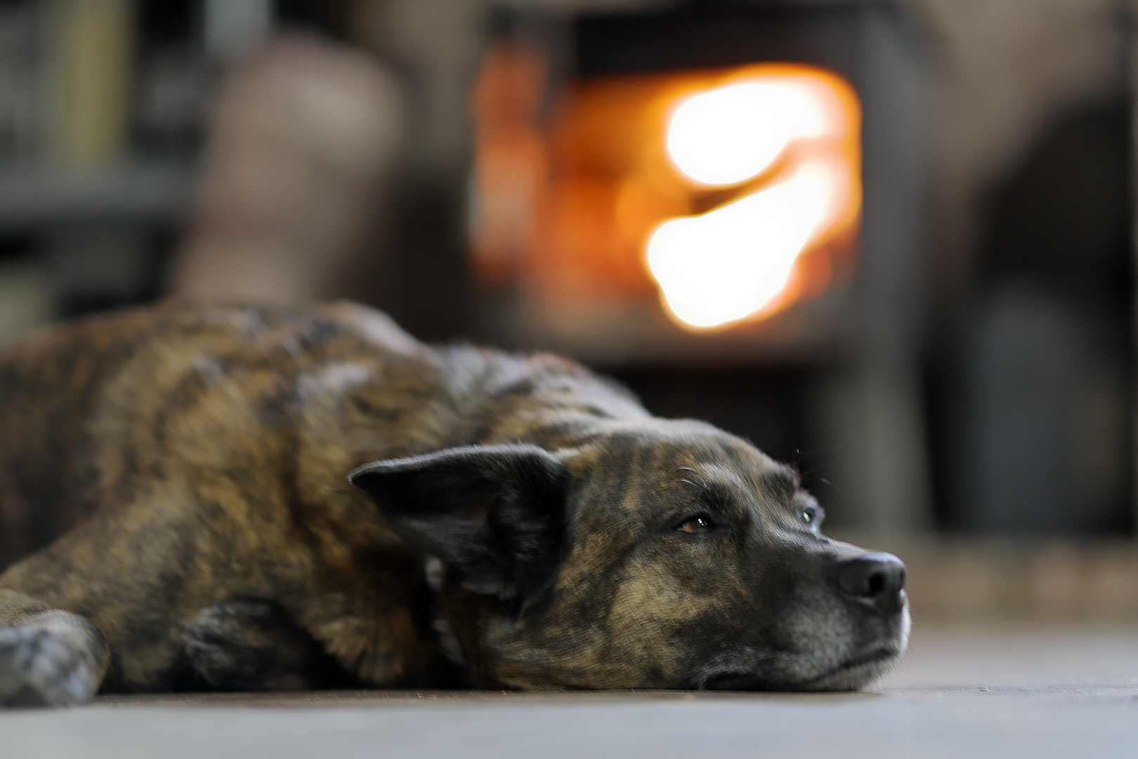 beryl_lay_floor_fire