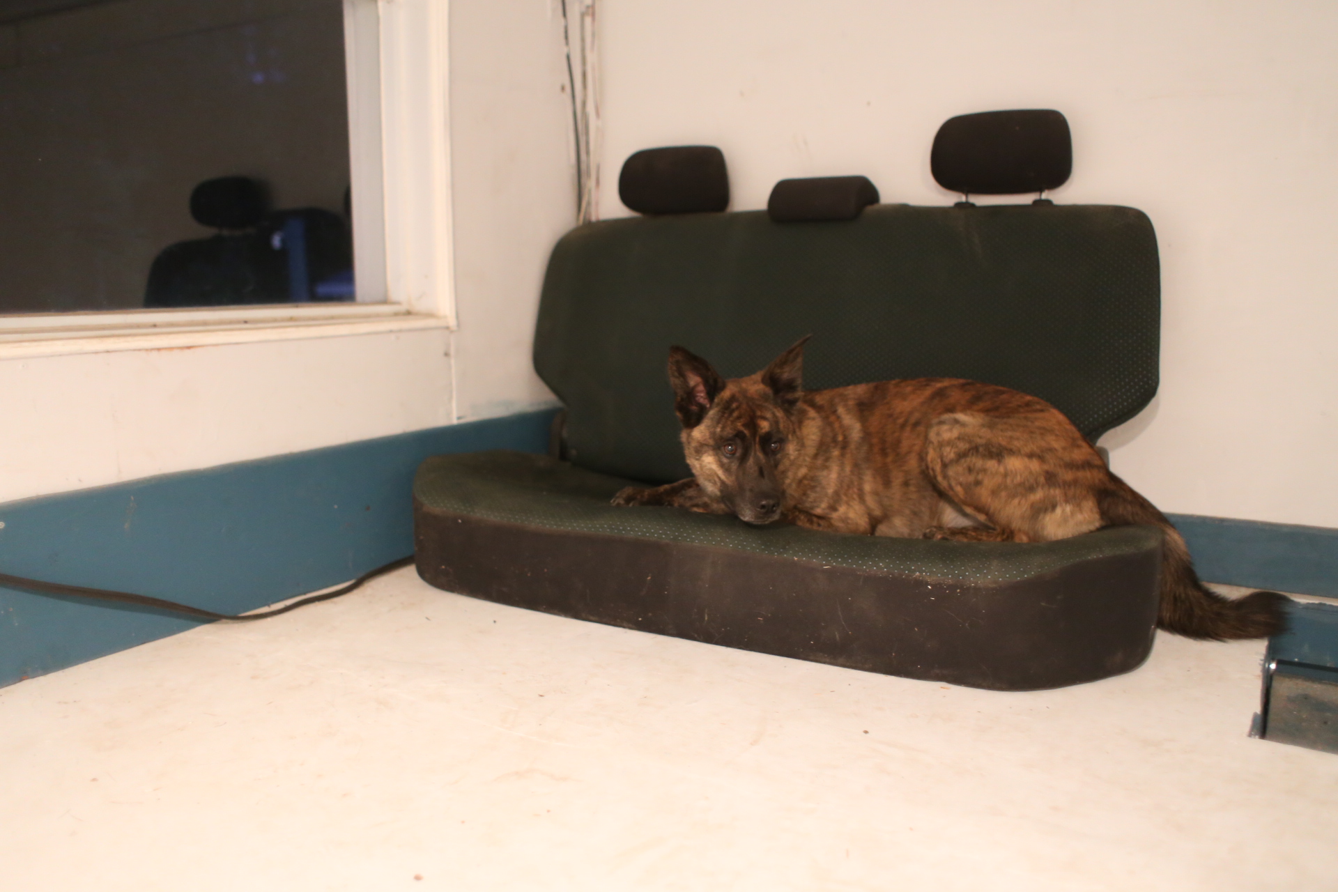beryl_mezanine_couch