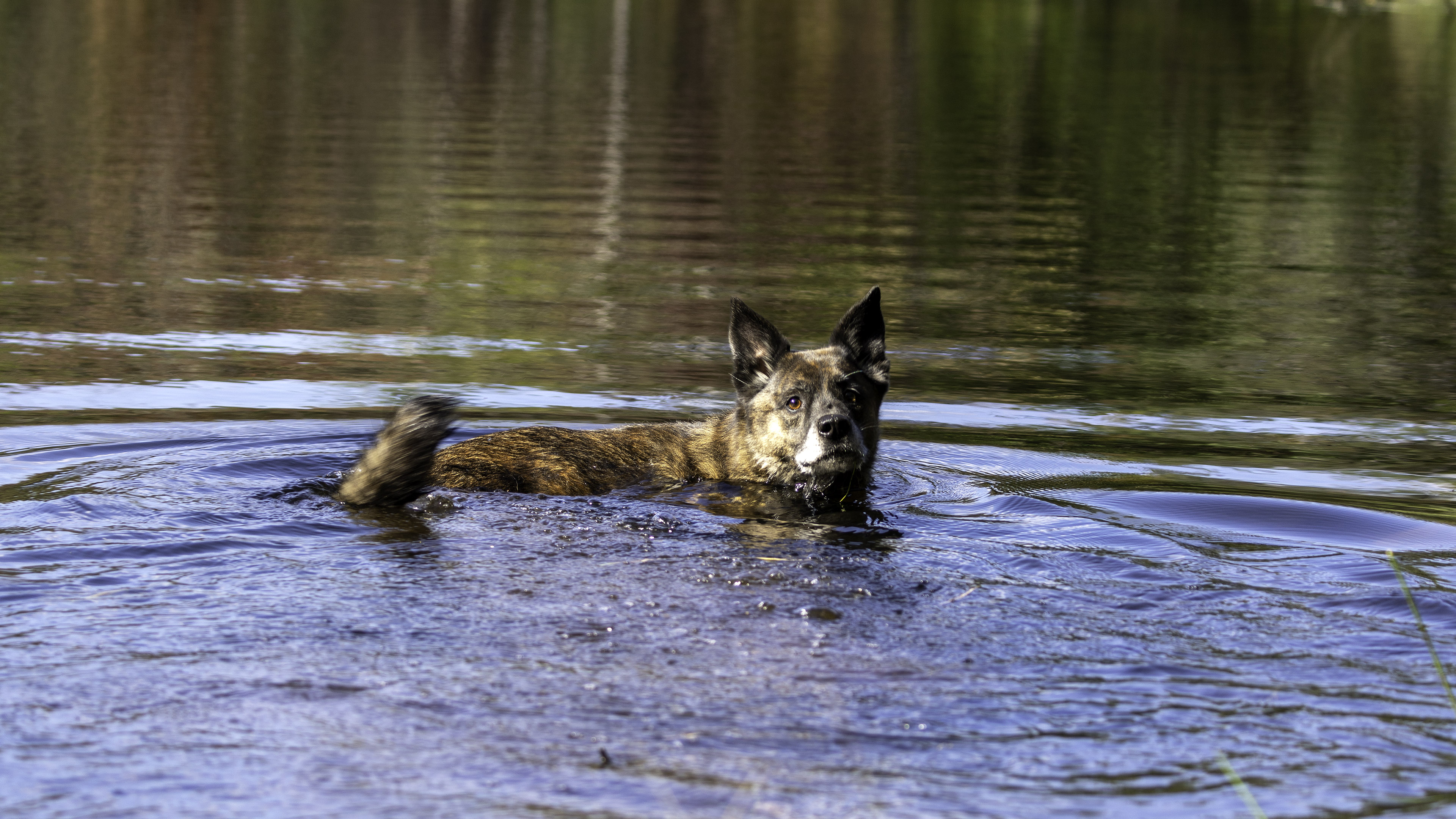beryl_nage_etang_side