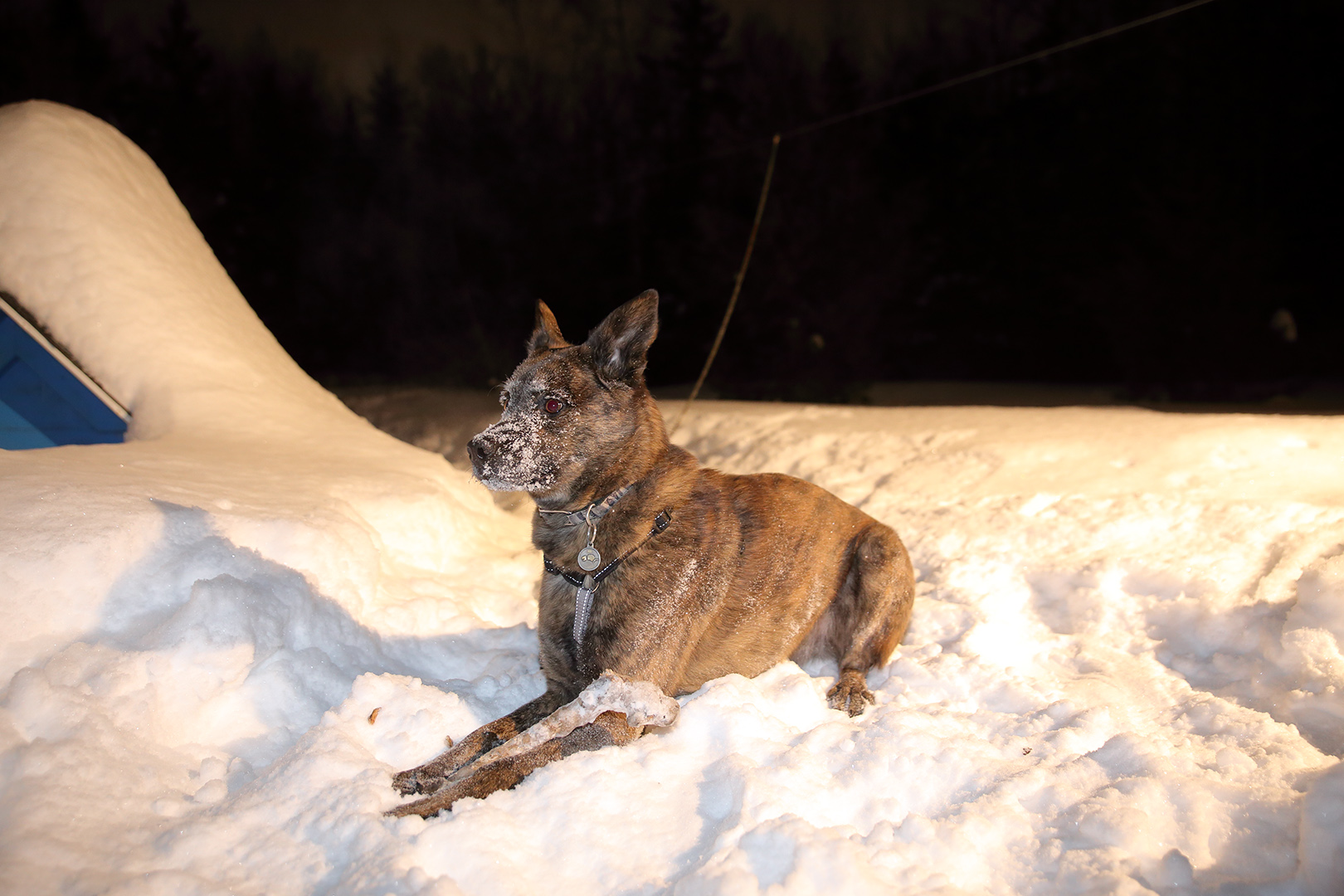 beryl_outside_snow_flash