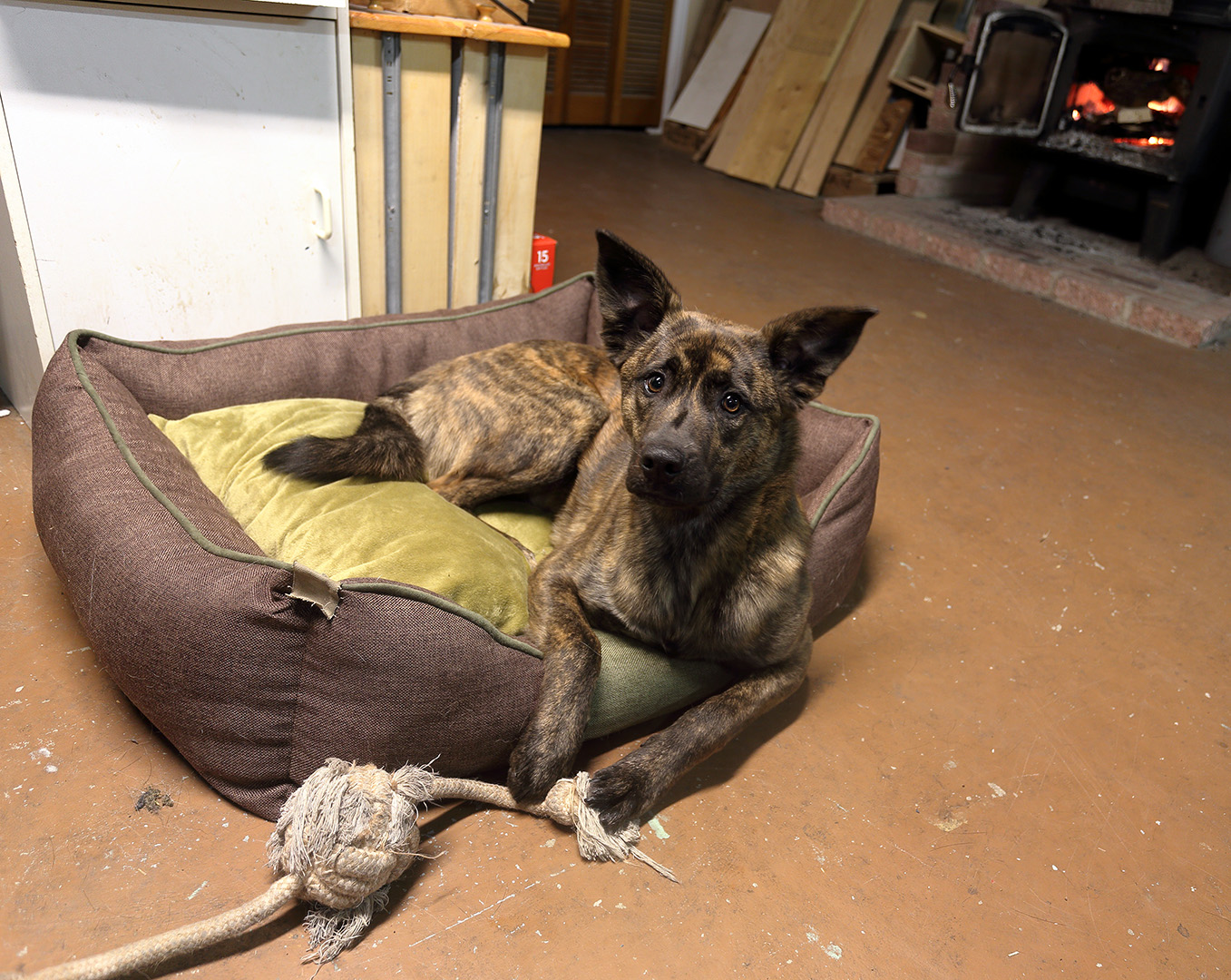 beryl_playing_bed