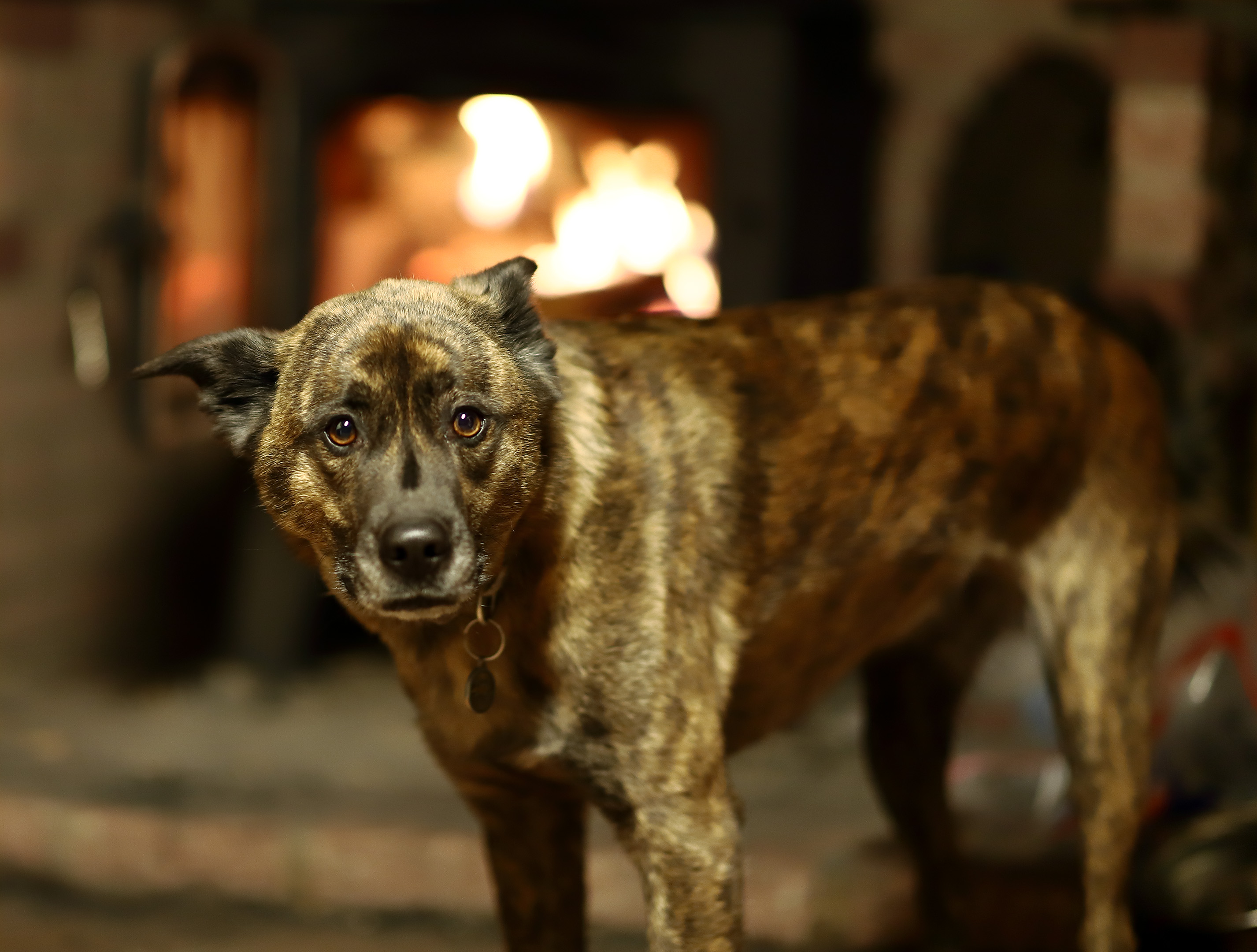 beryl_portrait_fire