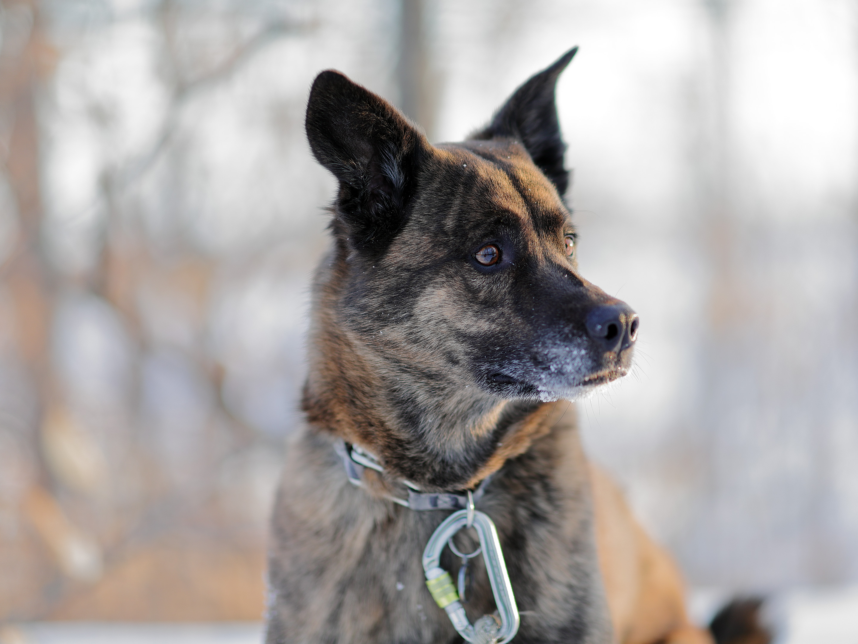 beryl_portrait_sunset_hiver