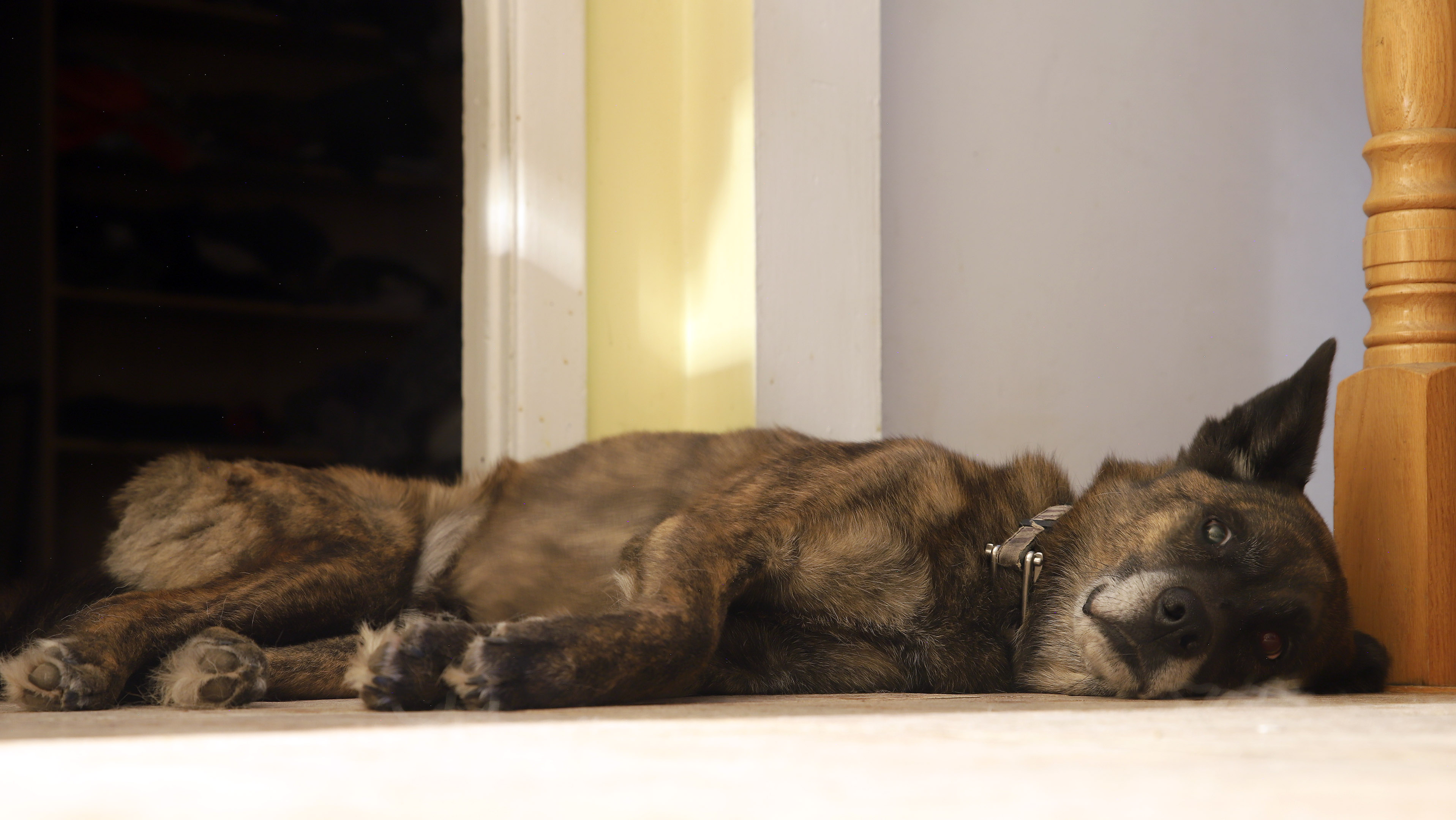 beryl_sleep_top_stairway