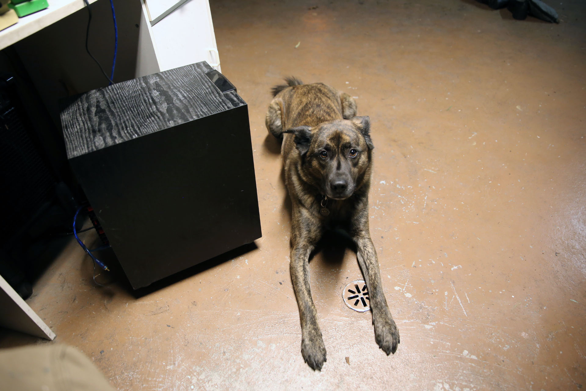 beryl_subwoofer