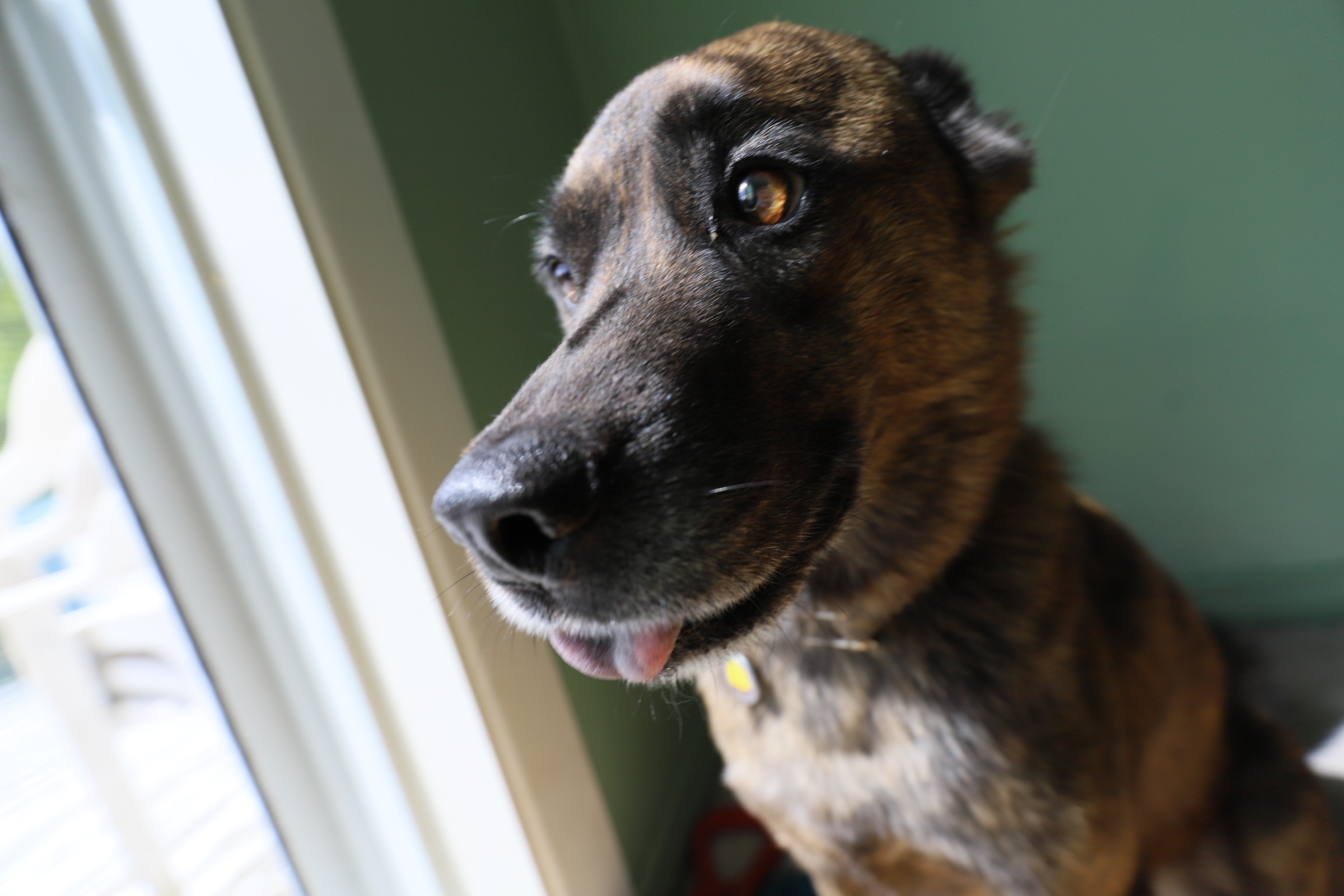 close_up_ultra_wide_angle_beryl