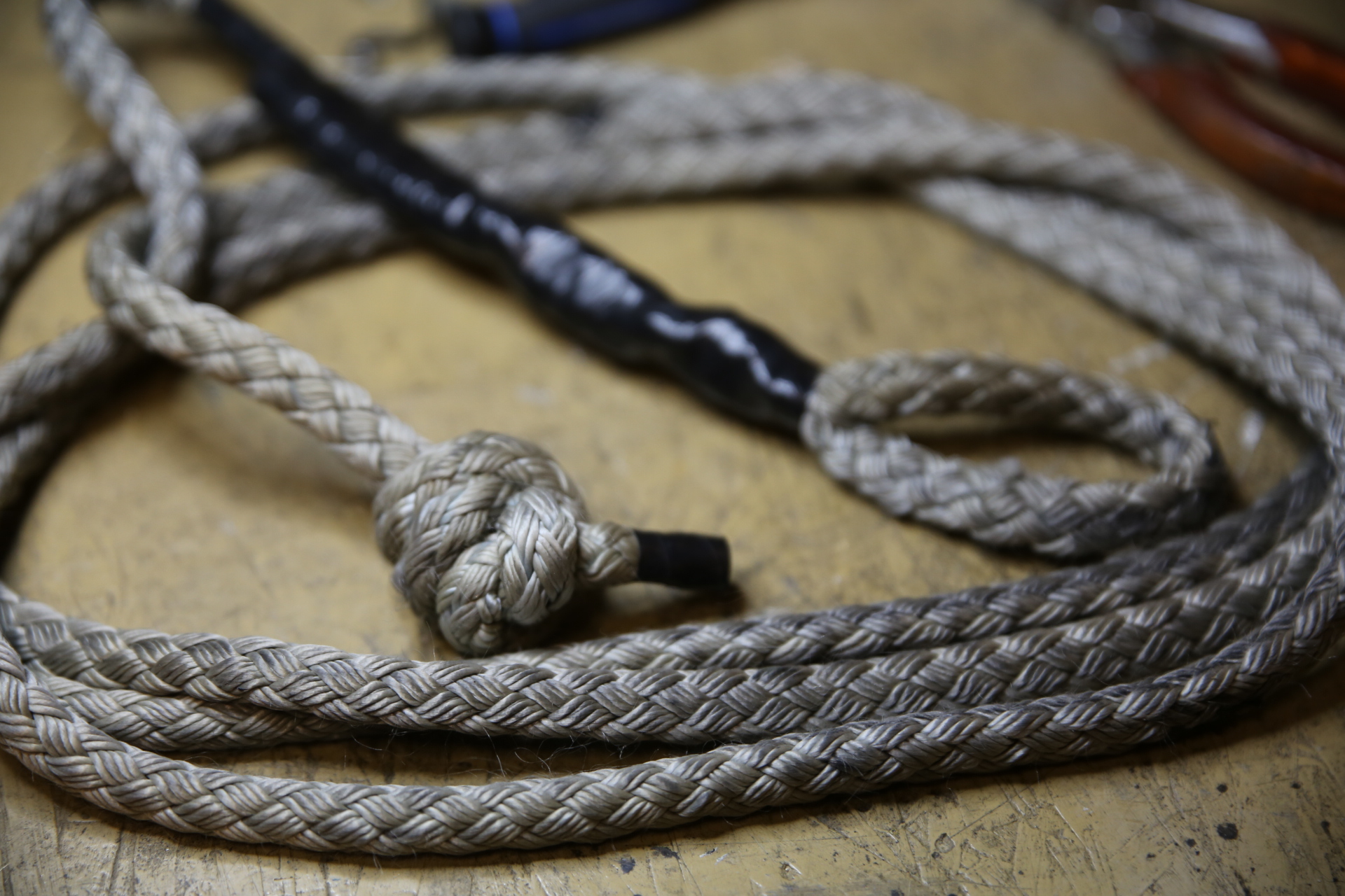 dog_mushing_leash