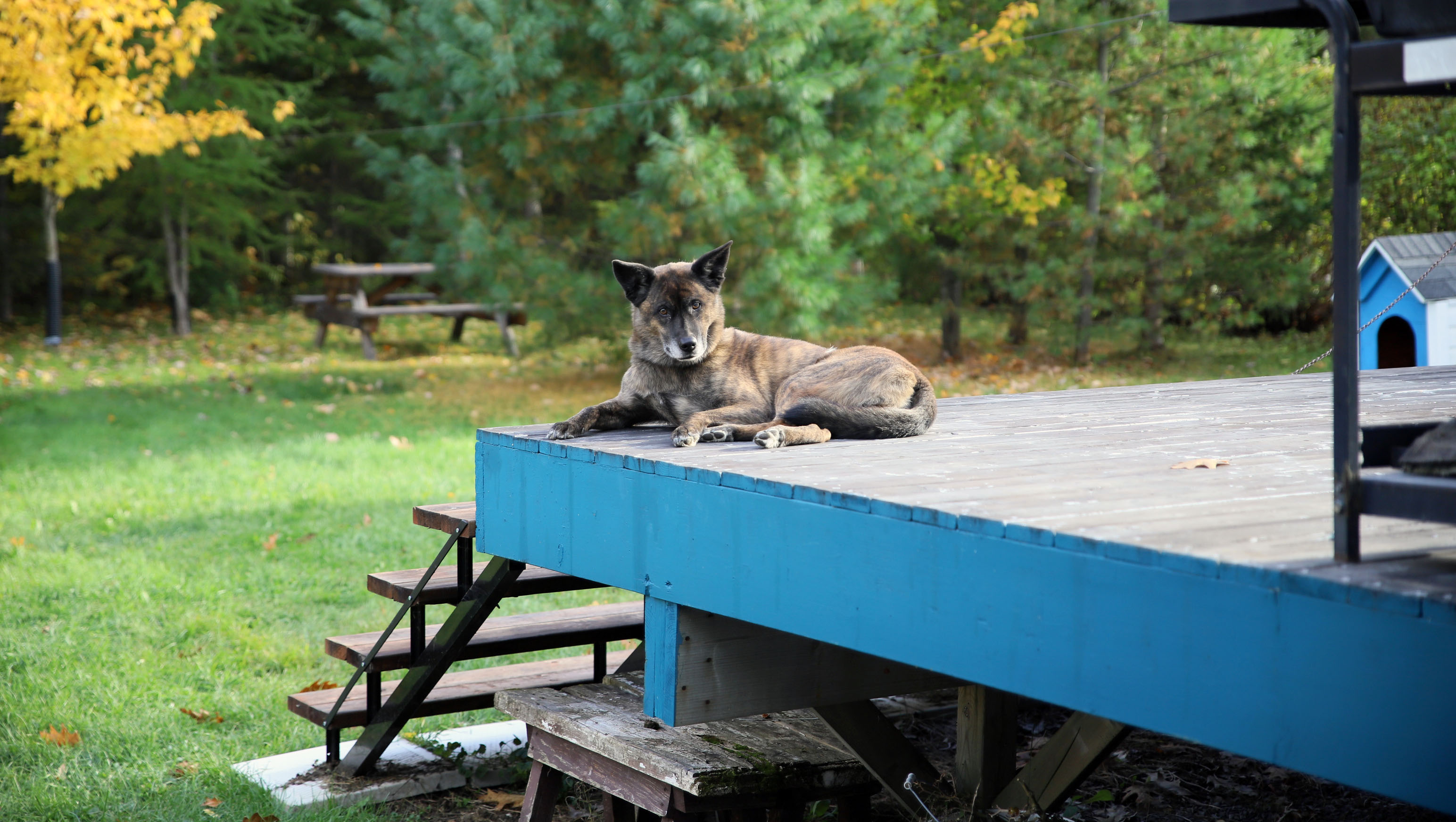 gallery_beryl_lying