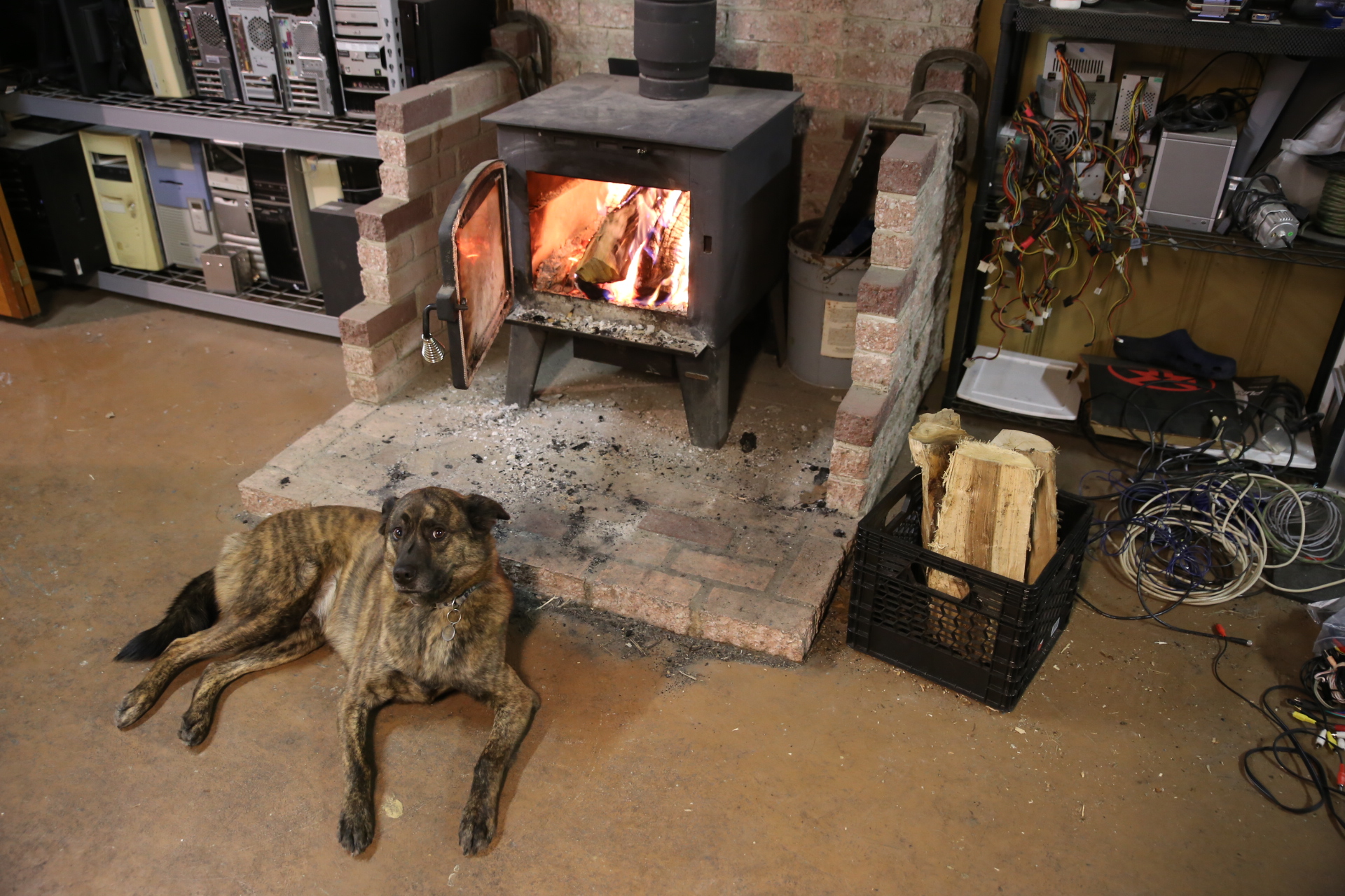 rustique_foyer_chien