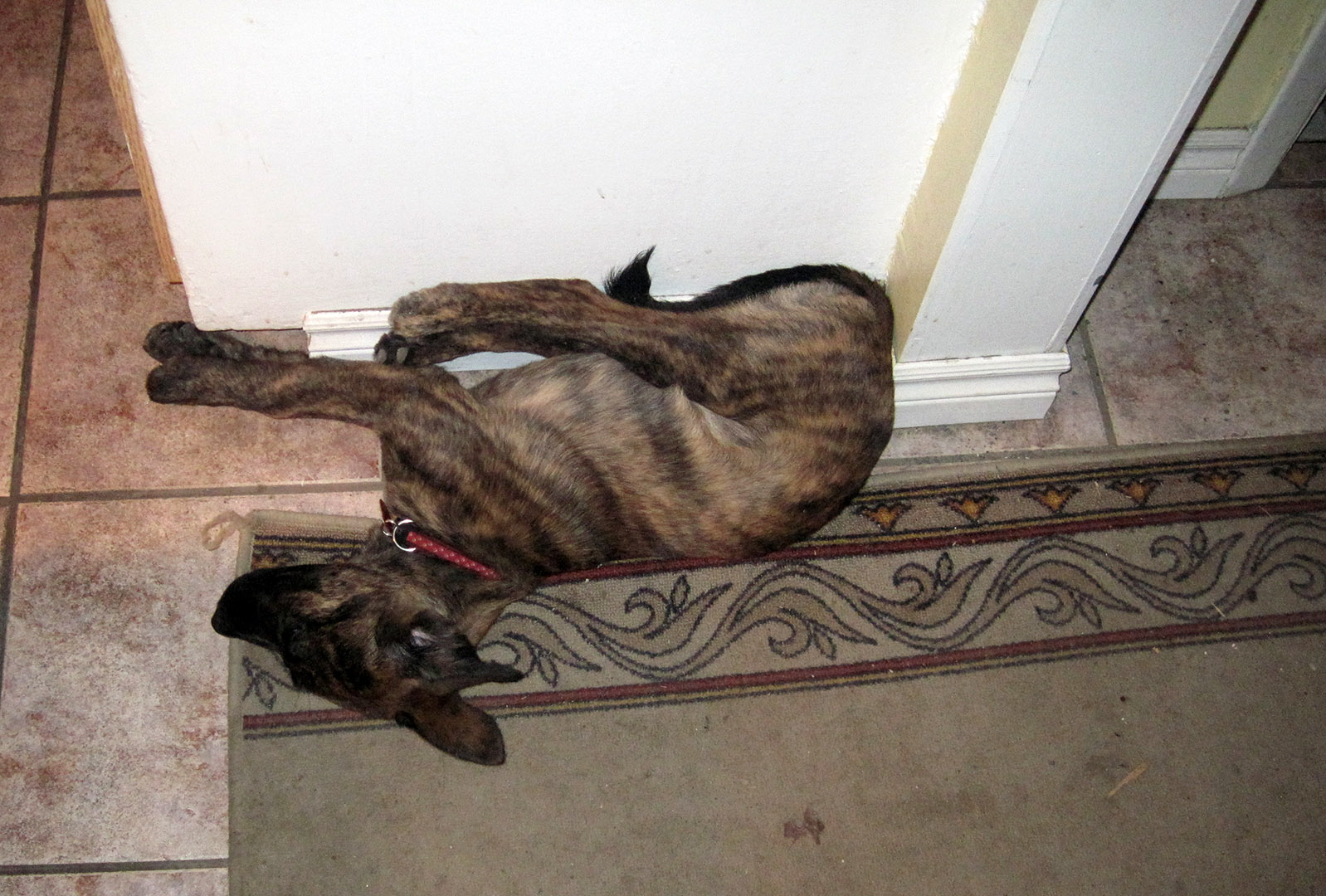 sleeping
