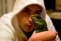 drako