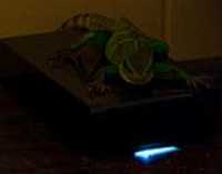external_hd