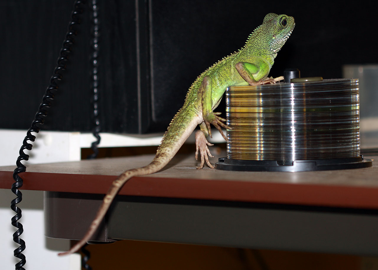 climbing_cd_pile